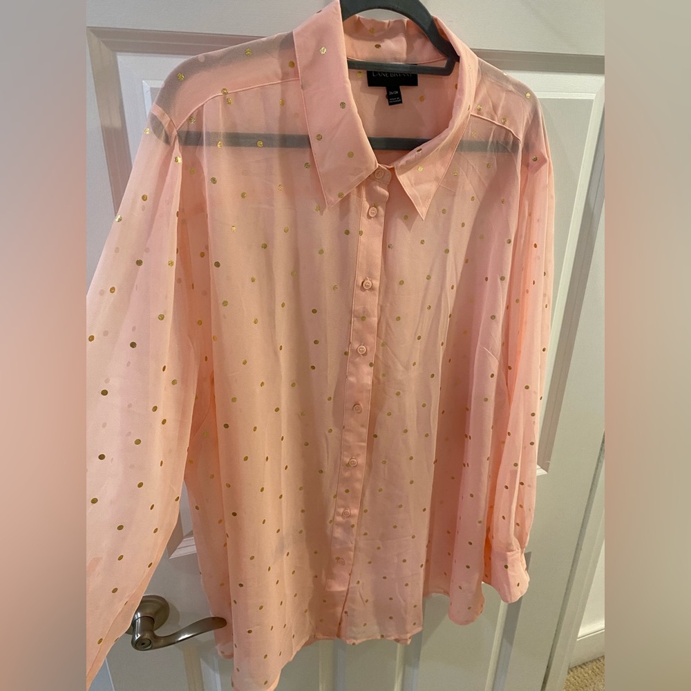 Lane Bryant (26/28) pink sheer long sleeve button down